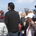 321-3276 Whale Watching
